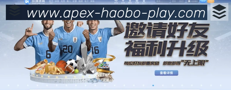 登录器